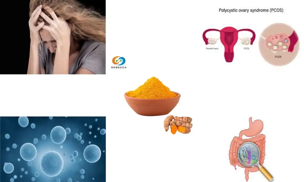 What does turmeric powder do in women's body?